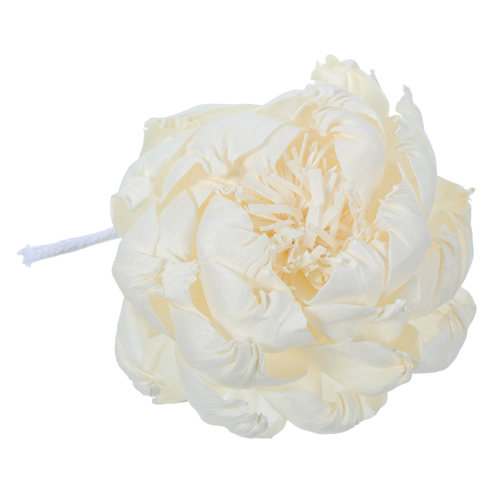 Peony Head Fragrance Diffuser  - Home Fragrance Usa recension och pris