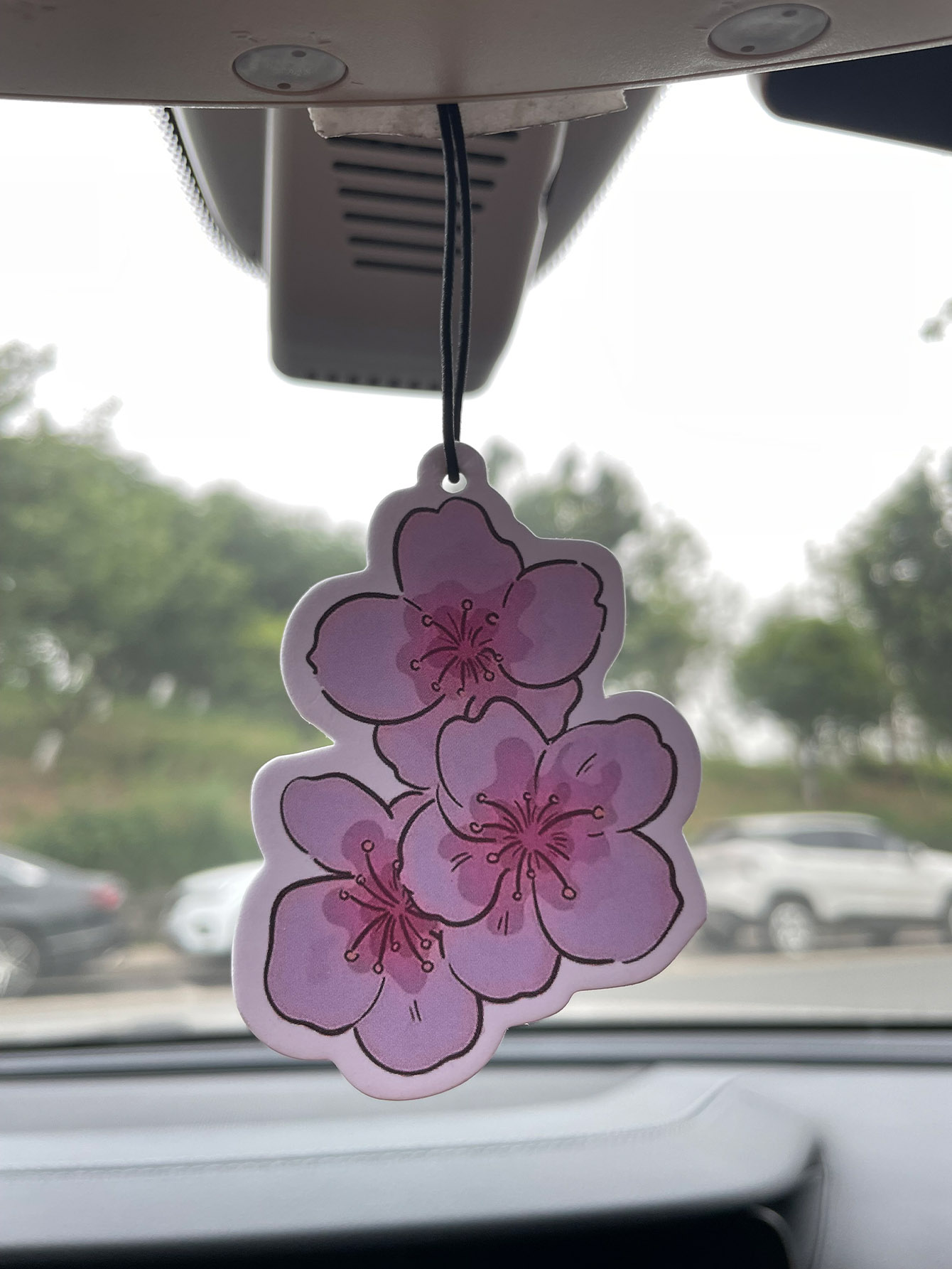 Sakura/Freesia Fresh Scent Fiv - Home Fragrance Collection recension och pris